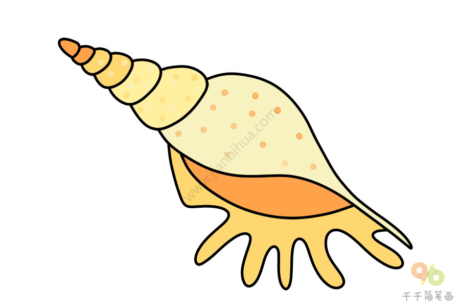 儿童海螺简笔画颜色图片