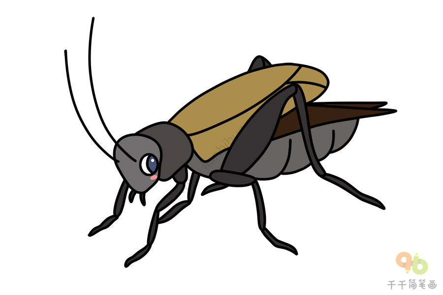 蟋蟀简笔画 卡通图片
