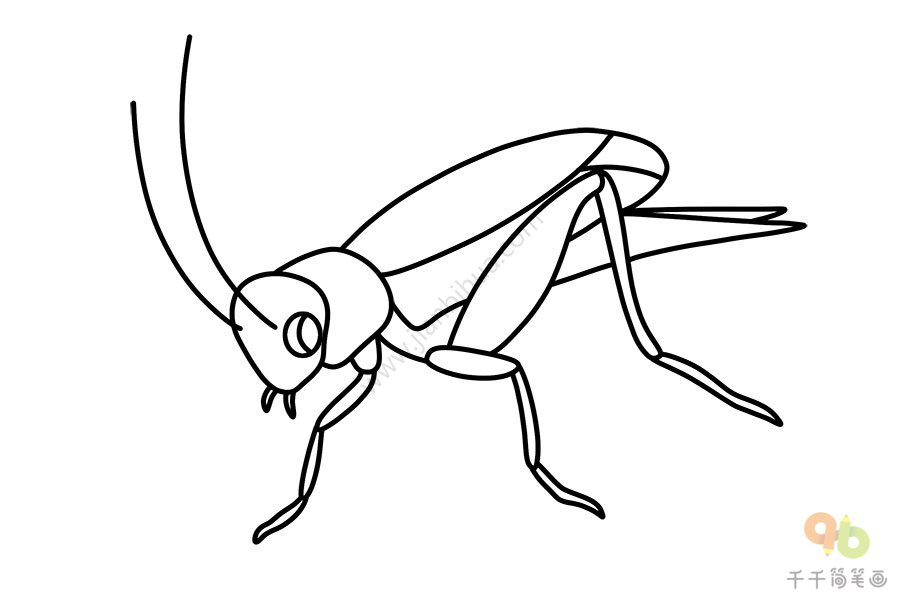 蟋蟀的儿童的简单的画图片