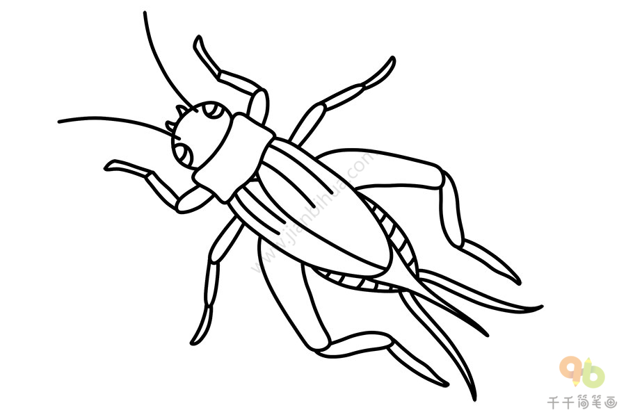 简笔画蟋蟀的画法可爱图片