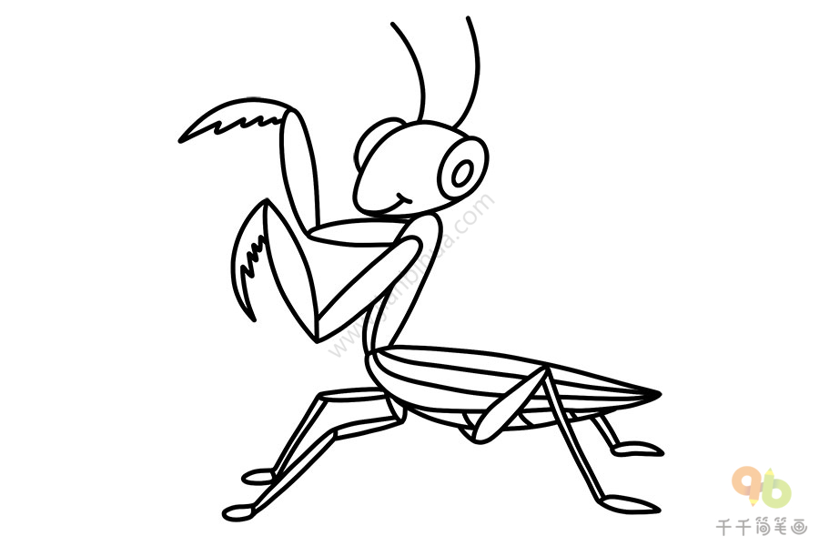 昆虫记螳螂 简笔画图片