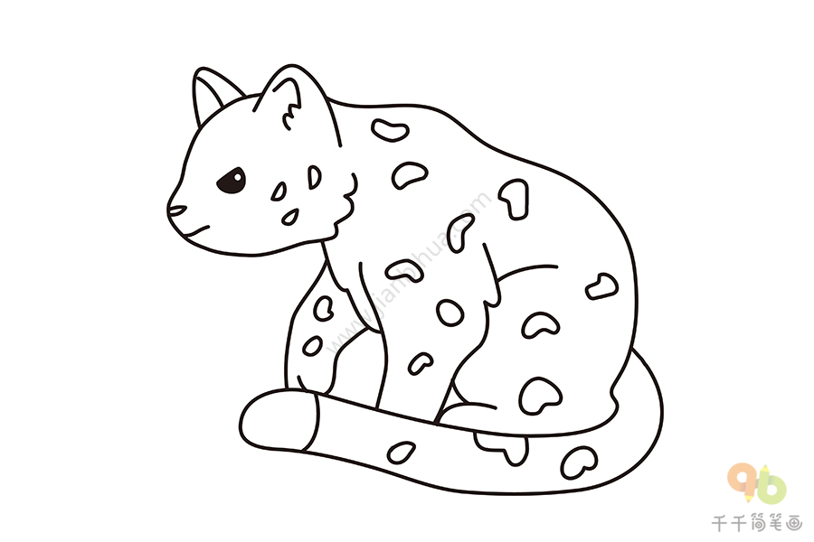 雪豹幼崽简笔画图片