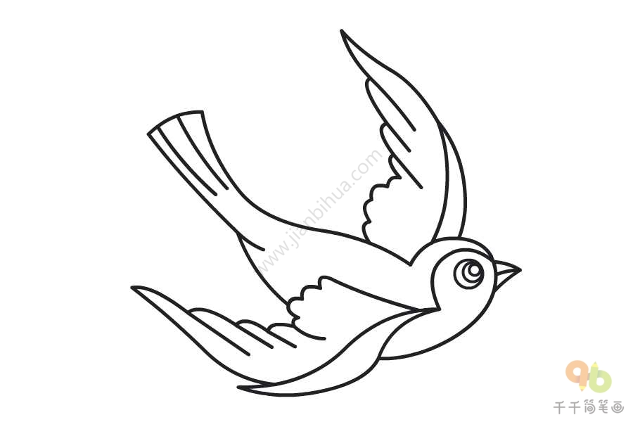 尖尾雨燕的简笔画图片