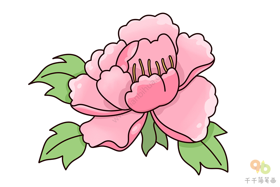 牡丹花画法 简单图片