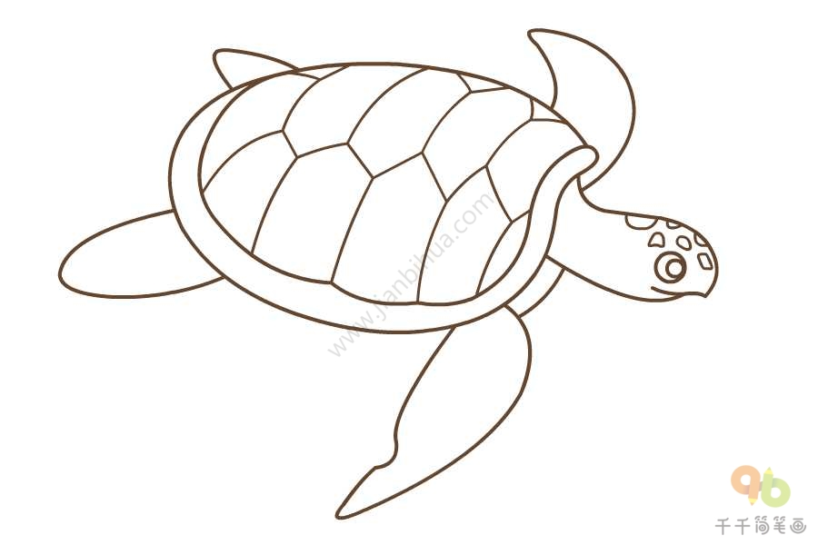 简单的海龟简笔画