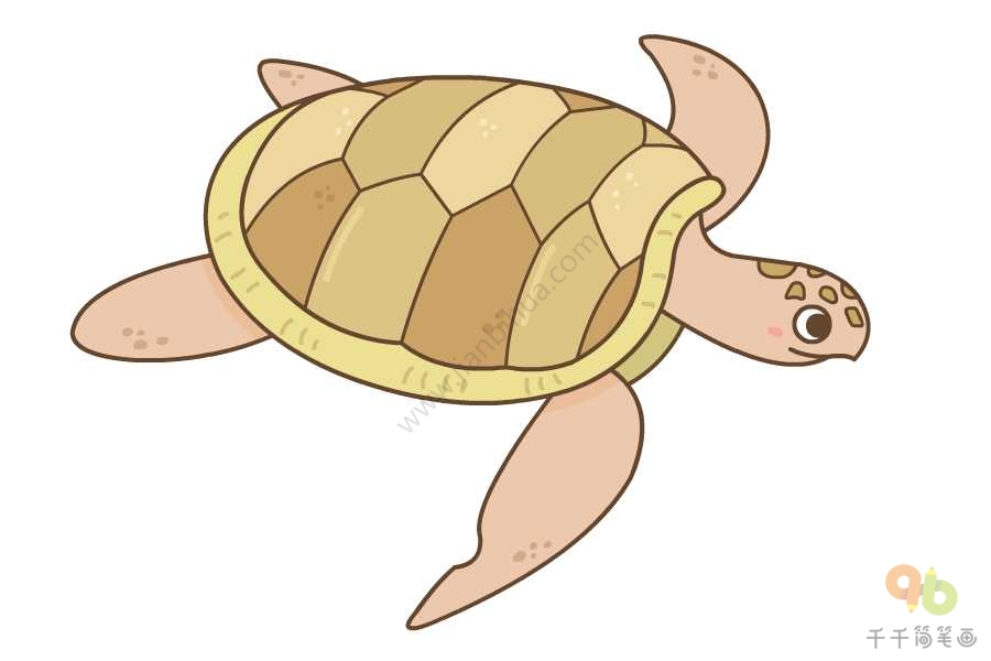 简单的海龟简笔画