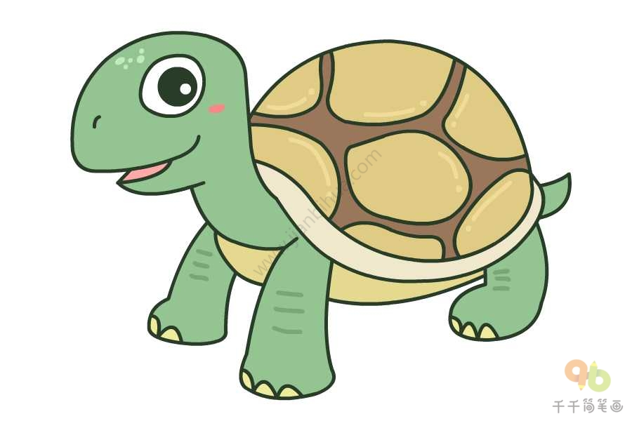 怎么画海龟简笔画