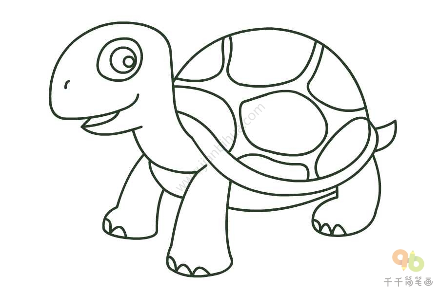 怎么画海龟简笔画