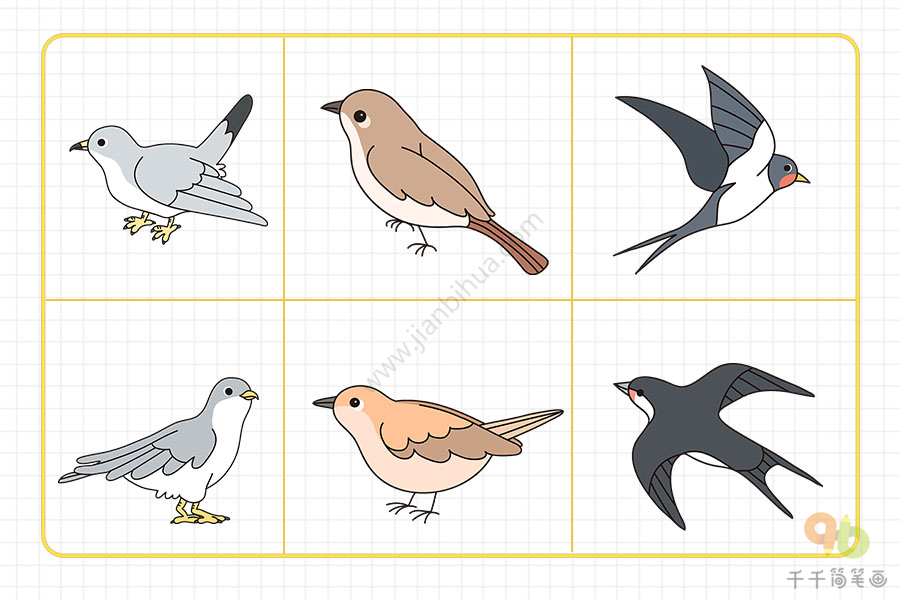 小学生画小鸟简单画法图片
