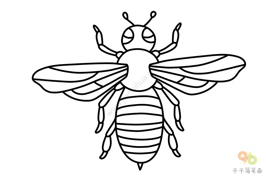 蜜蜂简单画法图片图片