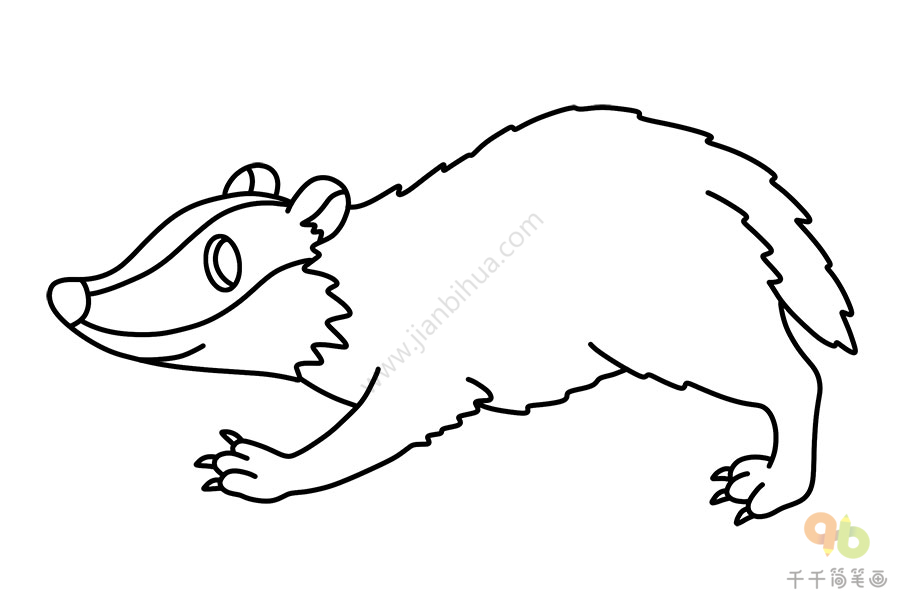 简单的獾简笔画