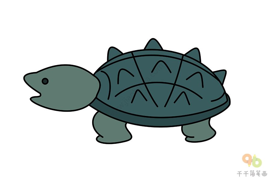 鳄龟简笔画 霸气图片