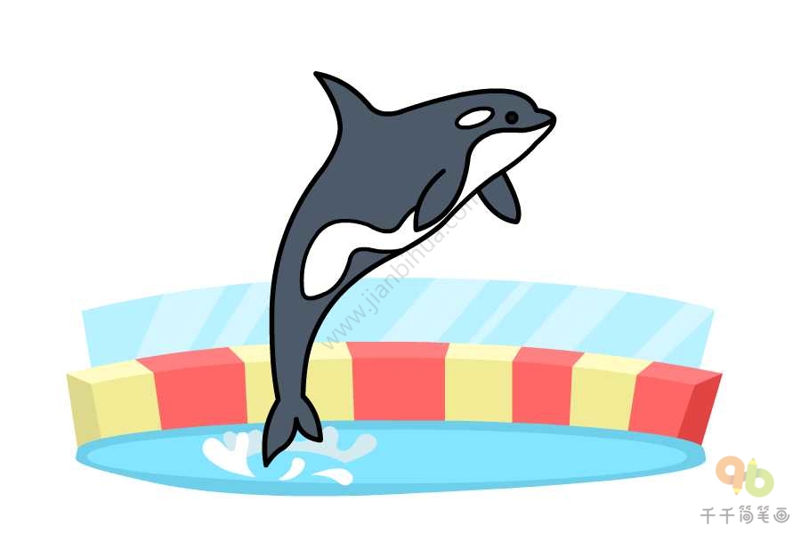 虎鲸吃鲨鱼简笔画图片