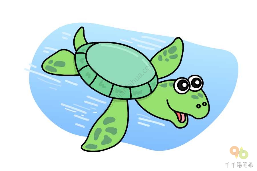 学画海龟简笔画