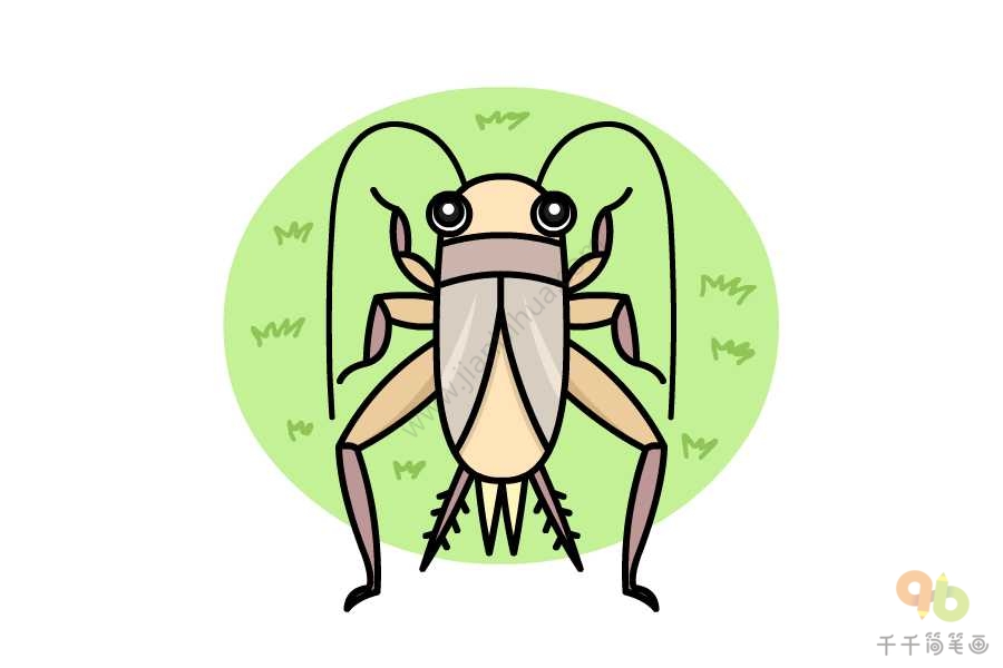 蟋蟀的画法可爱图片