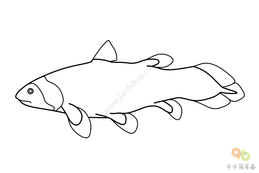 画一只腔棘鱼图片