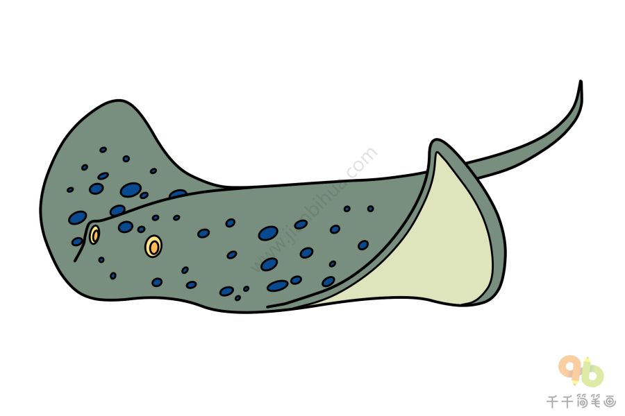 珍珠魟鱼简笔画图片