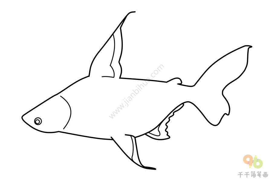 虎头鲨简笔画