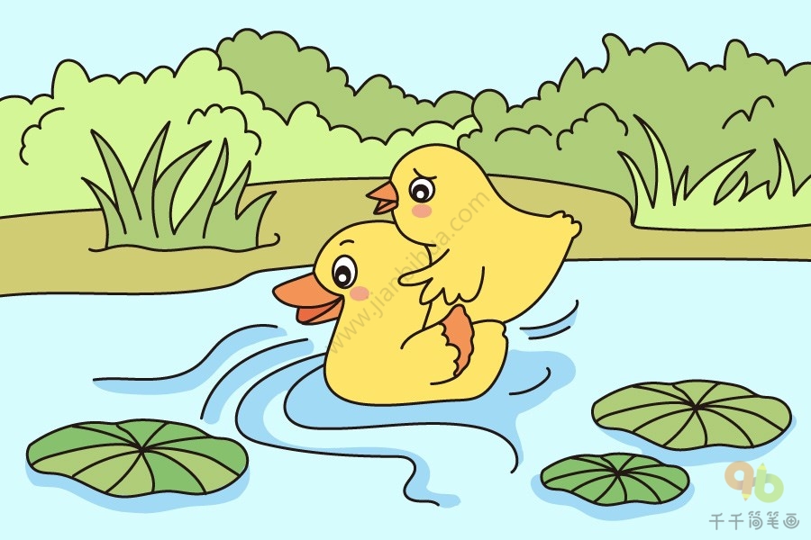 小公鸡和小鸭子插图图片