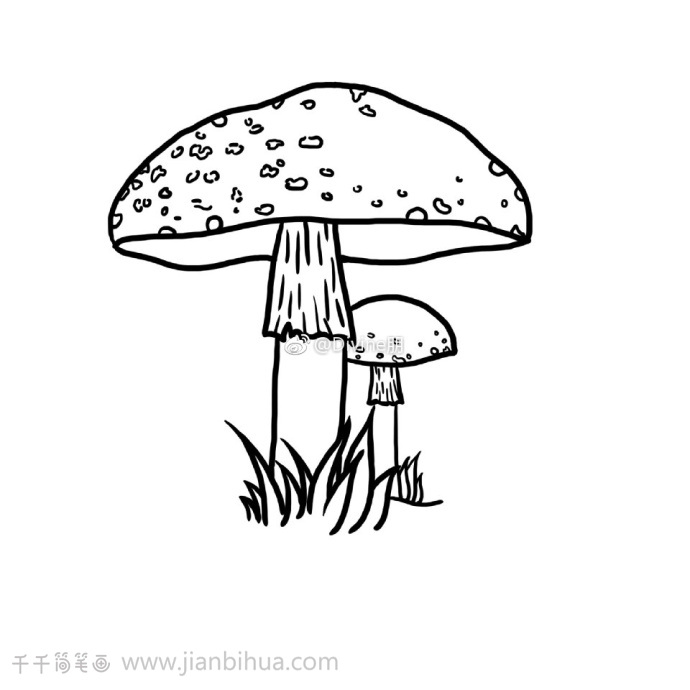 红蘑菇简笔画图片