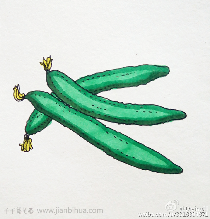 黄瓜的画法简笔画