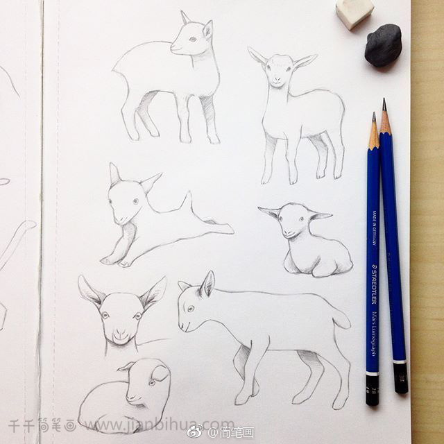 铅笔手绘动物简笔画