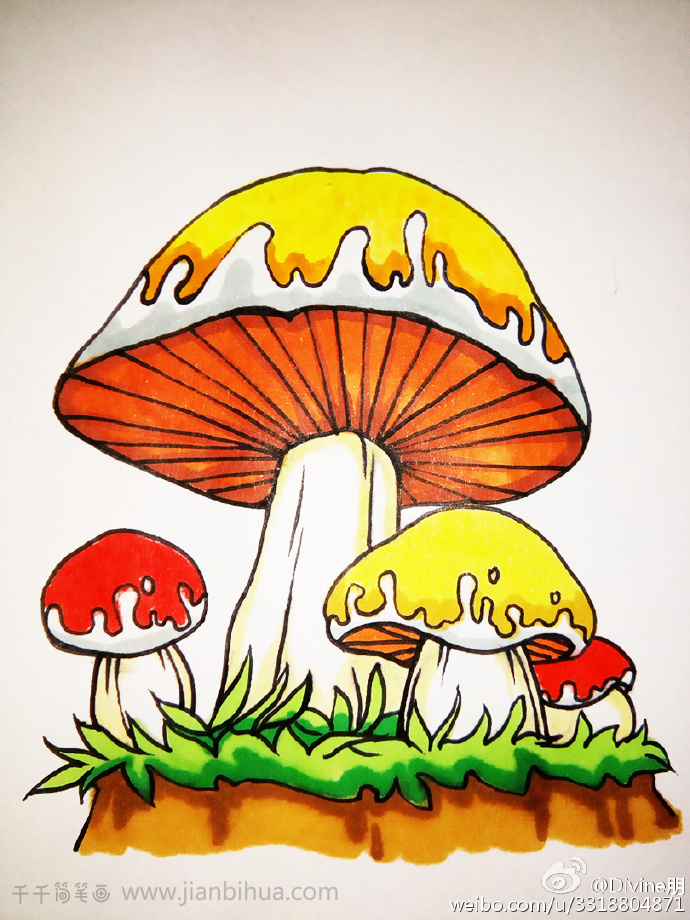 绚丽的蘑菇简笔画