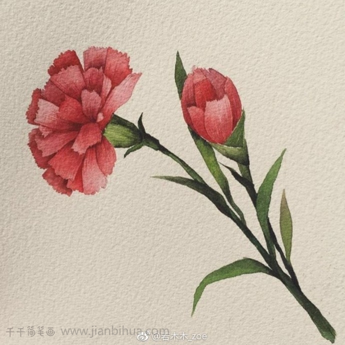 9种美丽花儿 花卉水彩画 水彩画