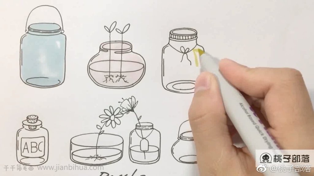 生态瓶怎么画绘画图片