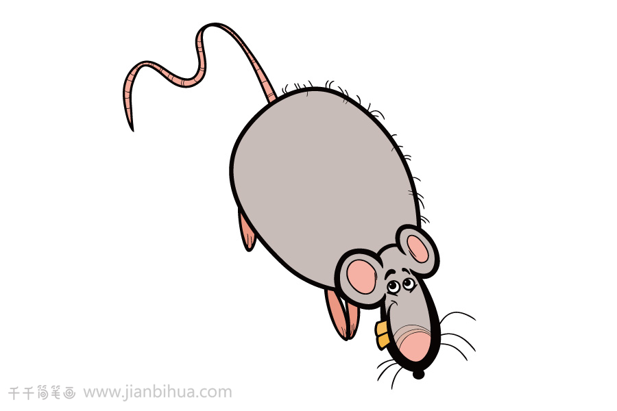 老鼠偷西瓜简笔画图片