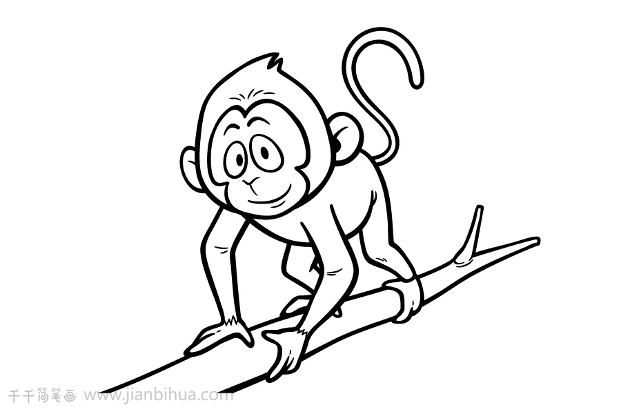 小猴子在树上怎么画图片