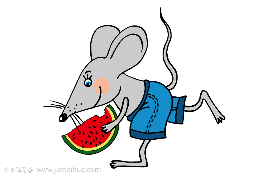 老鼠吃西瓜简笔画图片