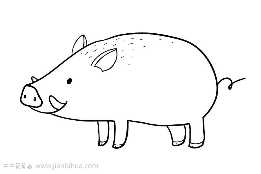 野猪画简单图片