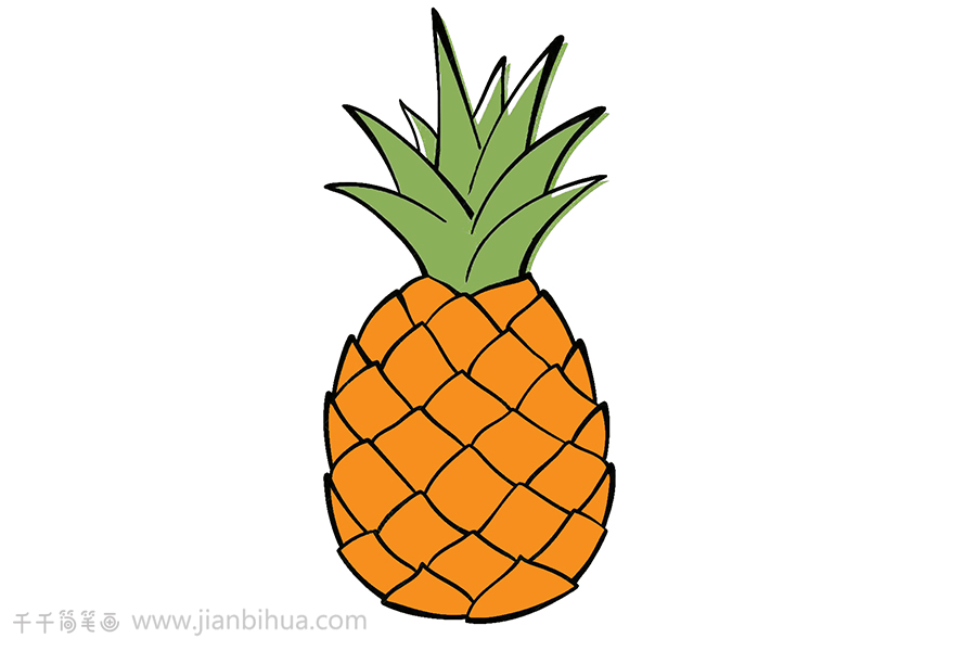 菠萝简笔画上色图片