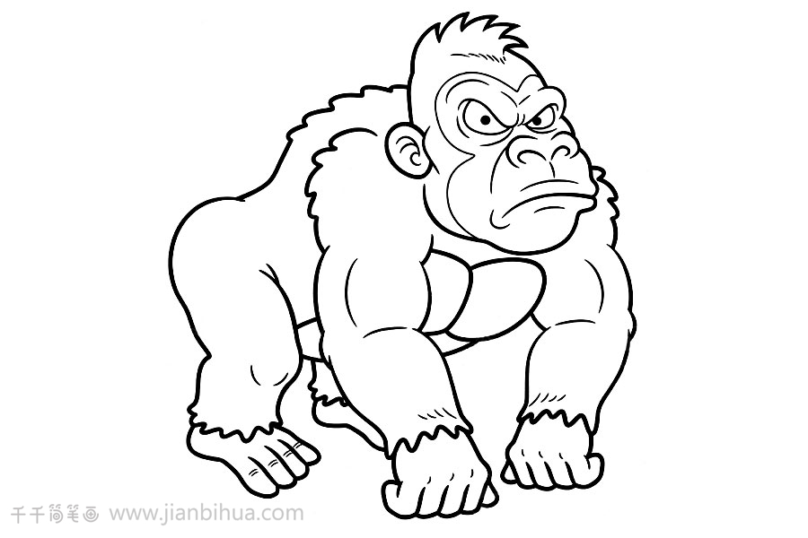 黑猩猩简笔画 画法图片