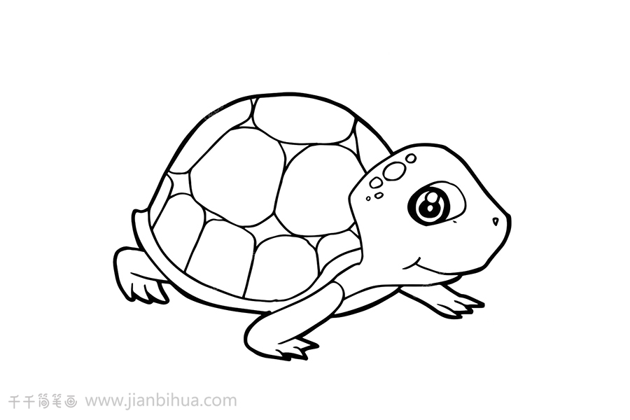 乌龟简笔画怎么画
