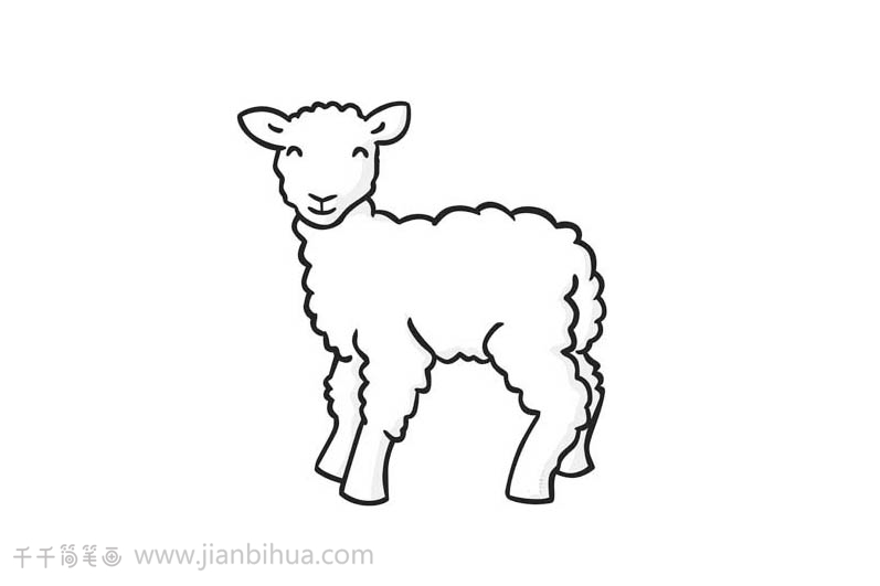绵羊画法图片