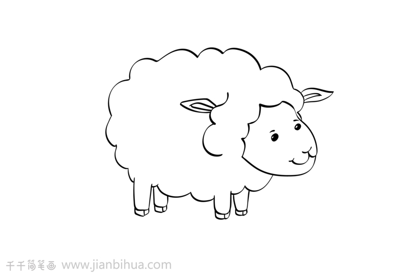 小绵羊简笔画彩色_涂色画简笔画