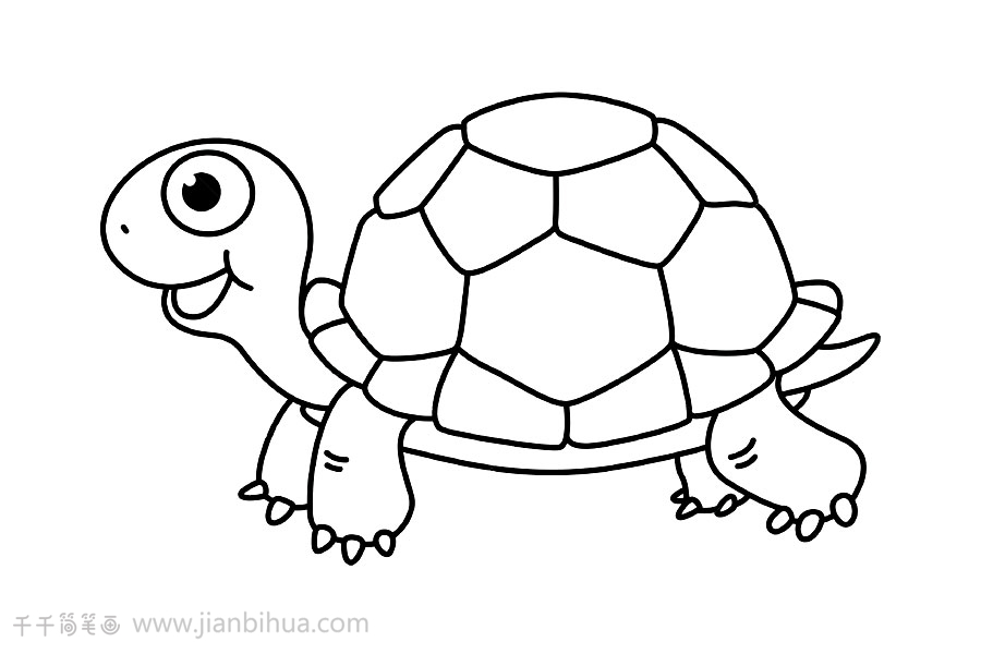 海龟简笔画 亲子画
