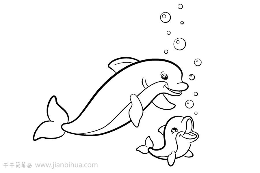 海豚画法大全图片