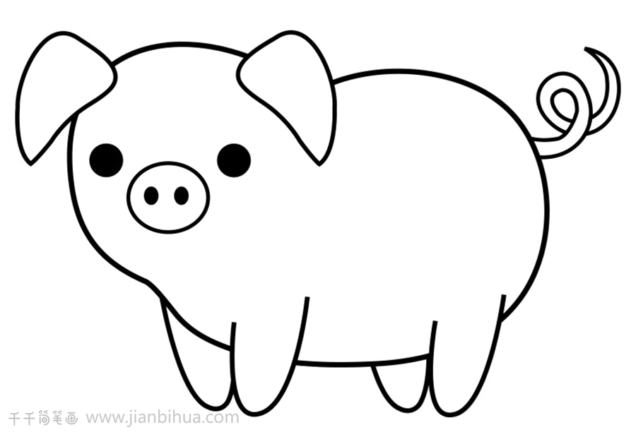 小猪简笔画 画法图片