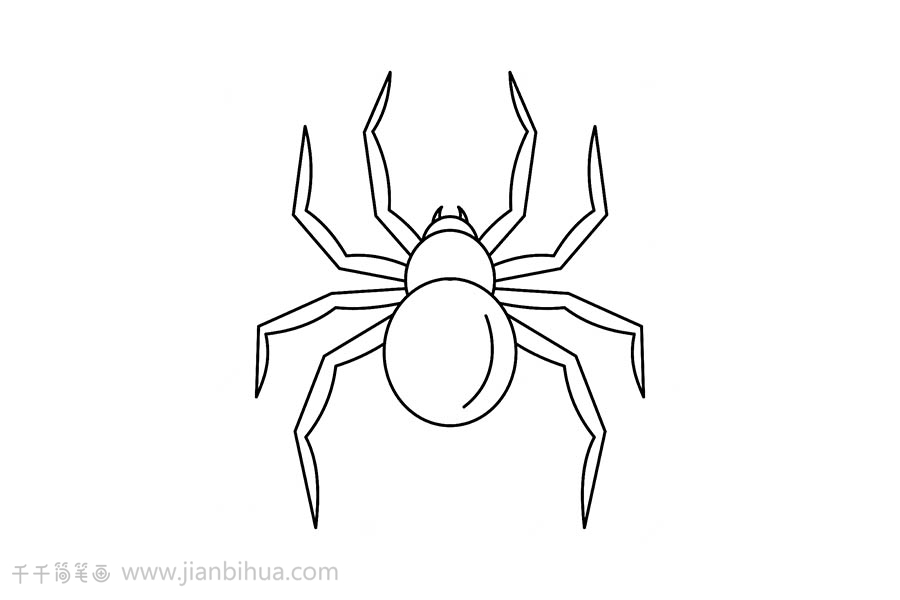 蜘蛛简笔画蜈蚣图片