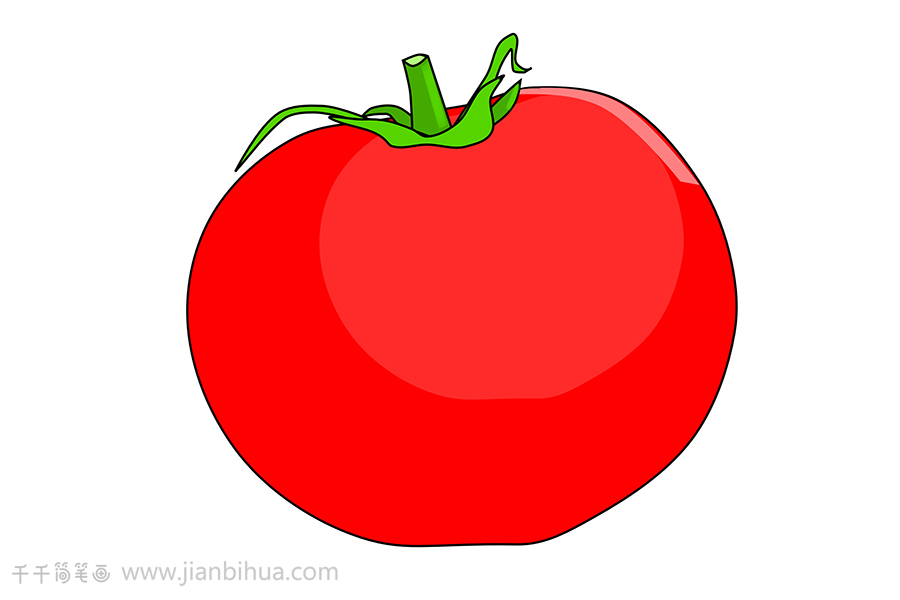 番茄简笔画彩色图片