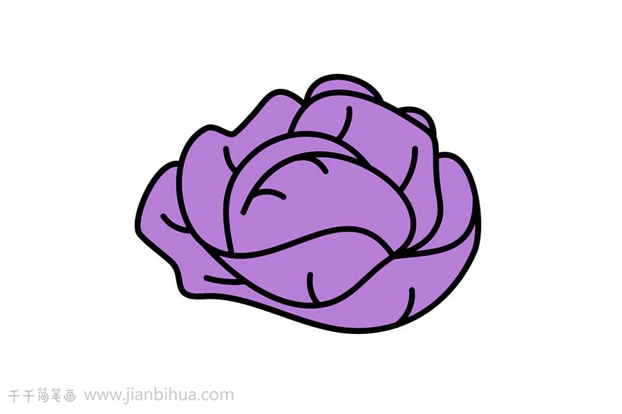 紫甘蓝简笔画画法