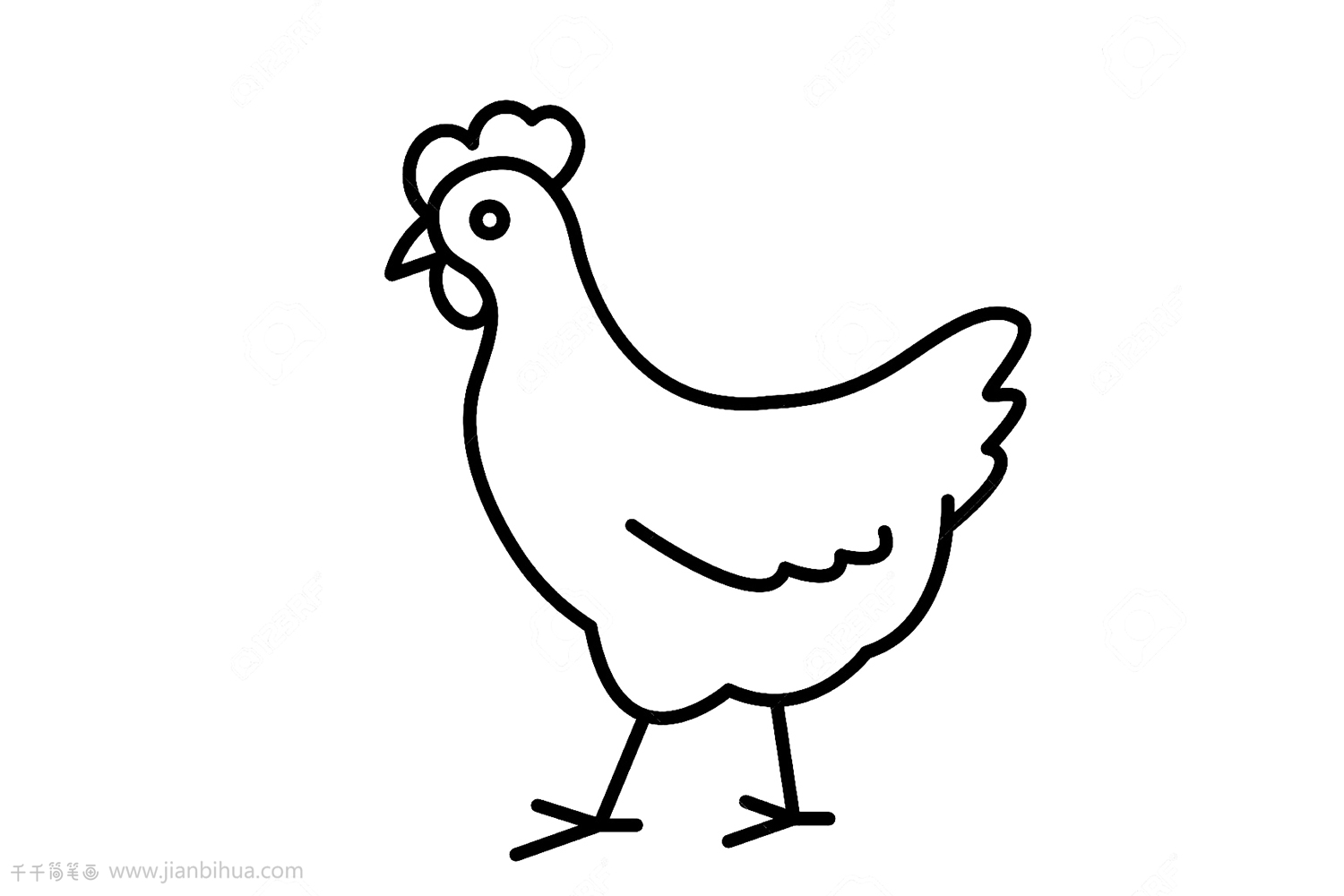 简笔鸡的画法图片