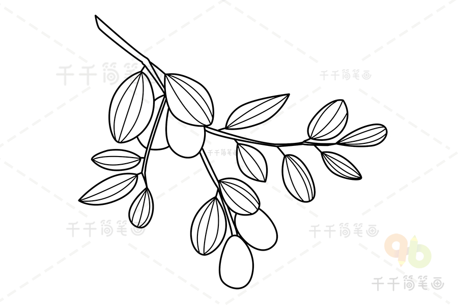 枣树简笔画法图片