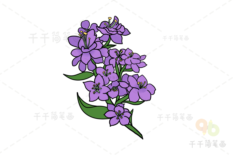 盛开的冬紫罗兰简笔画 花朵简笔画