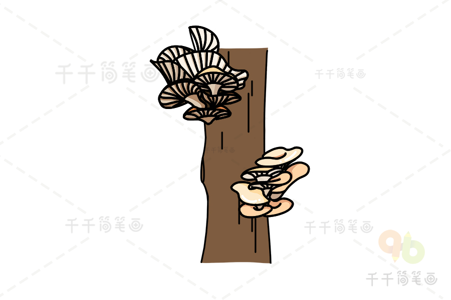 茶树菇怎么画简笔画图片