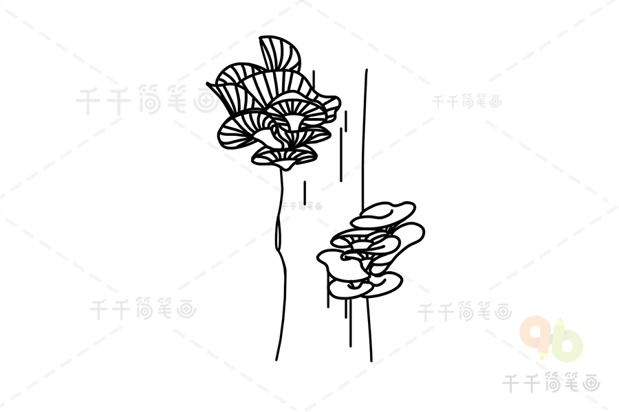 茶树菇怎么画简笔画图片
