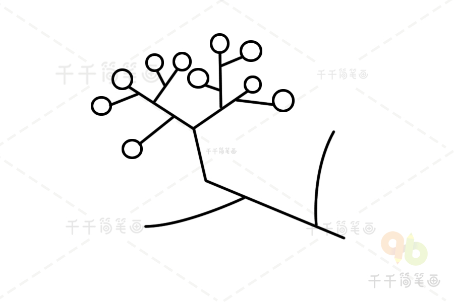 花椒树简笔画图片